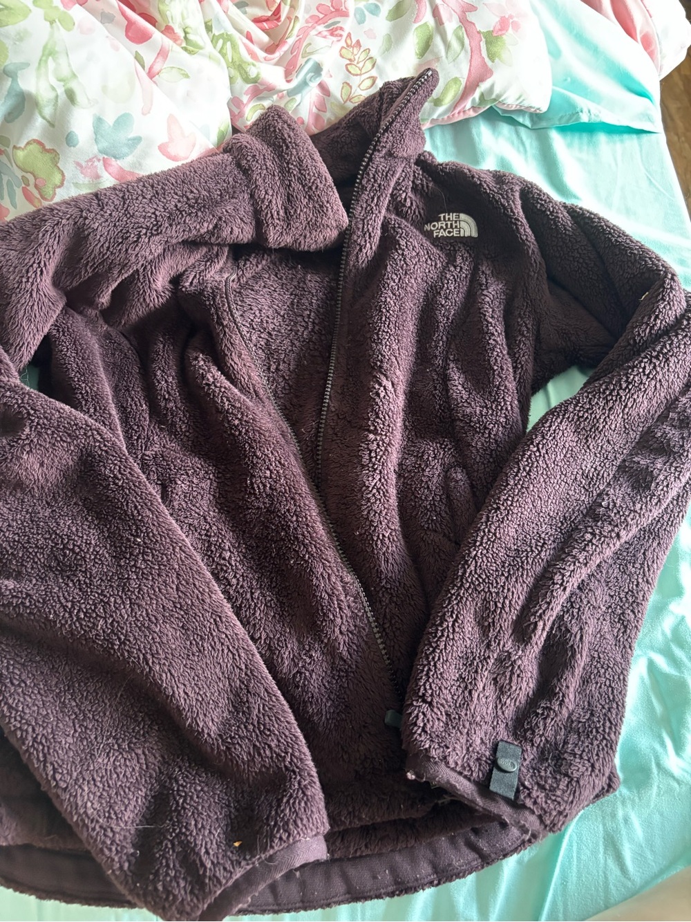 The North Face Plush Teddy Fleece Jacket in Plum